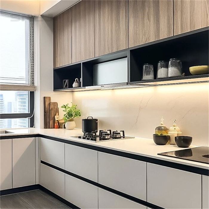 Modern Luxury Under Sink Cabinet